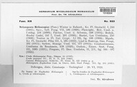 Melampsora euphorbiae image